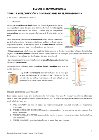 Tema-18.pdf