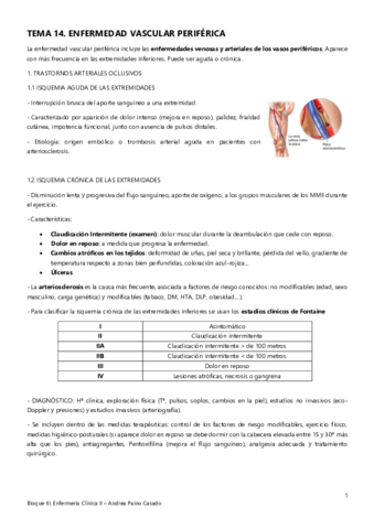 Tema-14.pdf