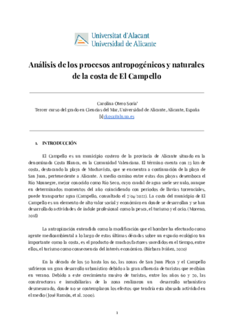 carolinaoteroinformecampello.pdf