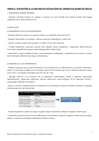 Tema-6.pdf