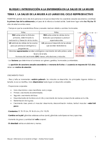 Tema-1.pdf