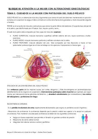 Tema-5.pdf