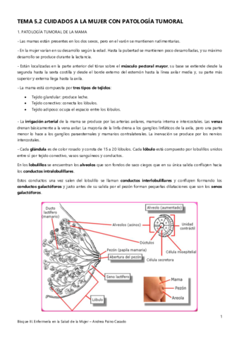 Tema-5.pdf