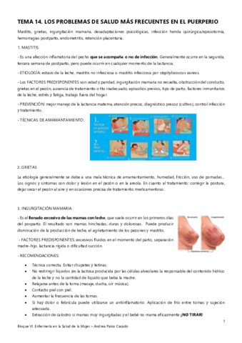 Tema-14.pdf