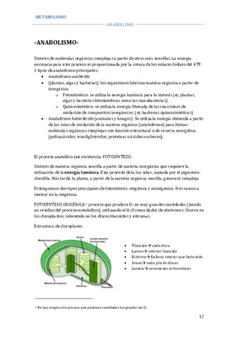 METABOLISMO-ANABOLISMO.pdf