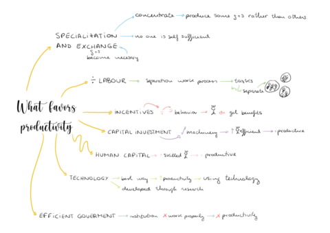 Favours-productivity.pdf