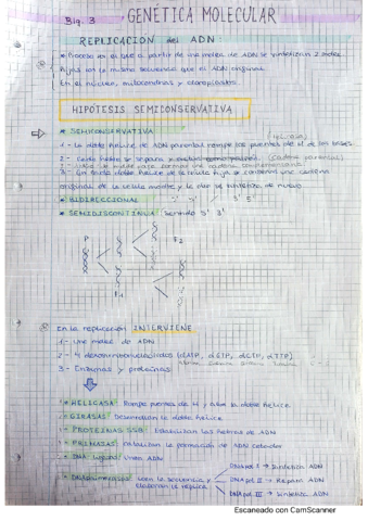 Genetica-Molecular.pdf