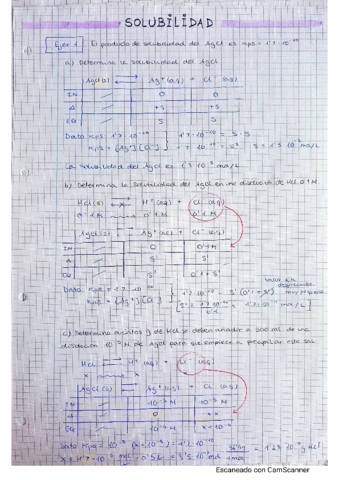 Ejers-Resueltos-Solubilidad.pdf