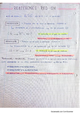 Redox.pdf