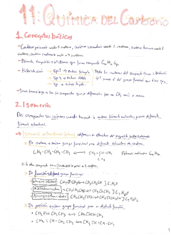 quimica-8-del-carbono.pdf
