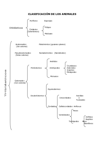 Clasificacion-de-los-animales.pdf