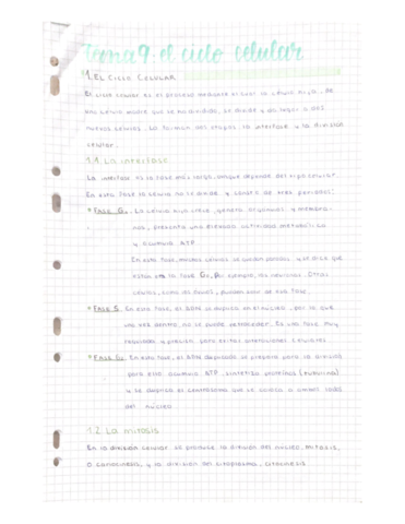 9_Ciclo Celular.pdf
