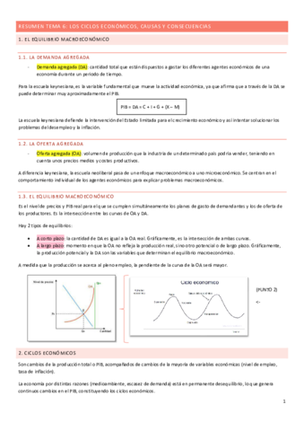 Resumen tema 6 - Ciclos económicos