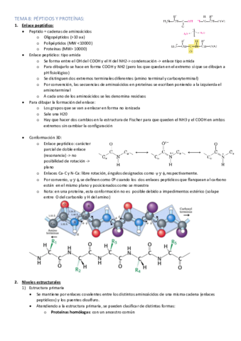 apuntes-bioquimica-2.pdf