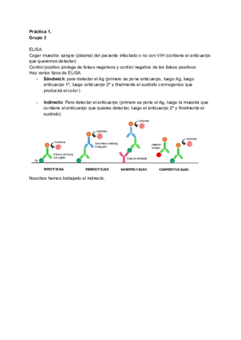 Practicas-viro-1.pdf