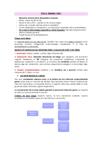 TEMA-2.pdf