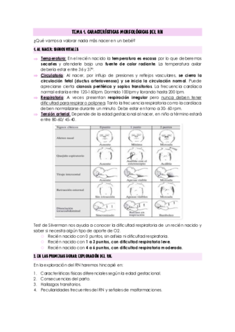 TEMA-1.pdf