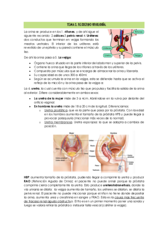 TEMA-2.pdf