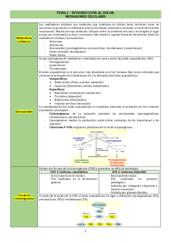 TEMA-2.pdf