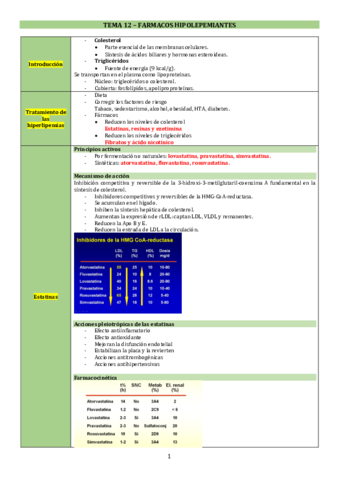 TEMA-12.pdf