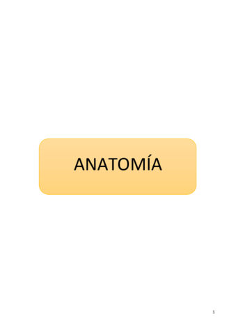 ANATOMÍA.pdf