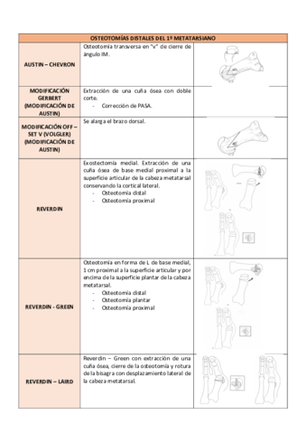 OSTEOTOMIAS-DISTALES-DEL-1o-METATARSIANO.pdf