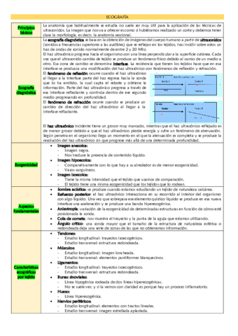 Ecografia.pdf