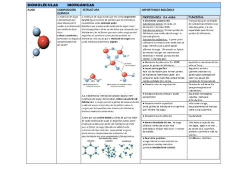 BIOMOLECULAS-MOD-CADRO-copia.pdf