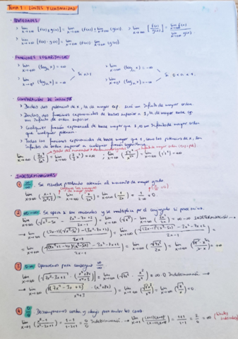 TemaM1Limites-y-Continuidad.pdf