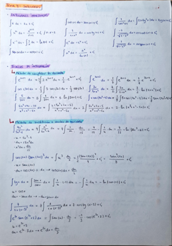TemaM4Integrales.pdf