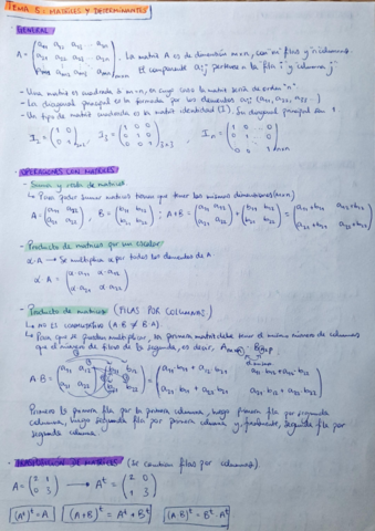 TemaM5Matrices-y-Determinantes.pdf