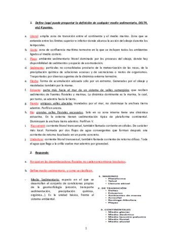 EXAMEN-SEDI.pdf