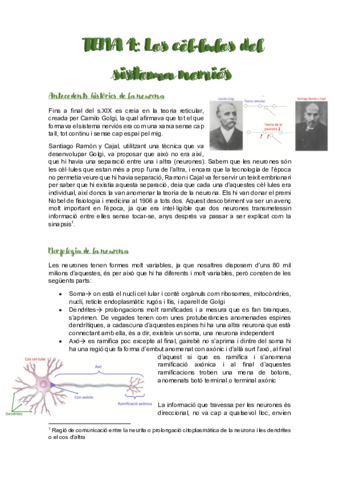 Psicobiologia-I-TOTA-LA-TEORIA.pdf