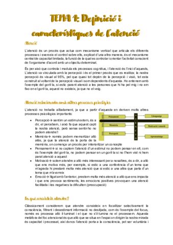 Processos-psicologis-ATENCIO.pdf