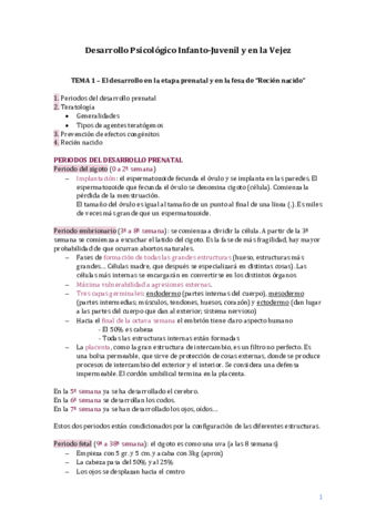 TERMINADO-Desarrollo-Psicologico-Infanto.pdf