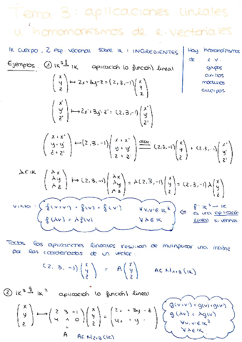 Aplicaciones-lineales-u-homomorfismos-de-espacios-vectoriales.pdf