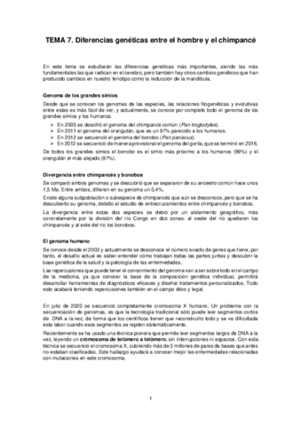 Tema-7.pdf