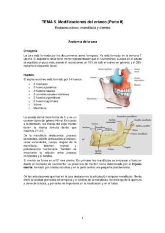 Tema-5.pdf