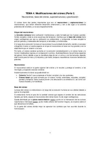 Tema-4.pdf