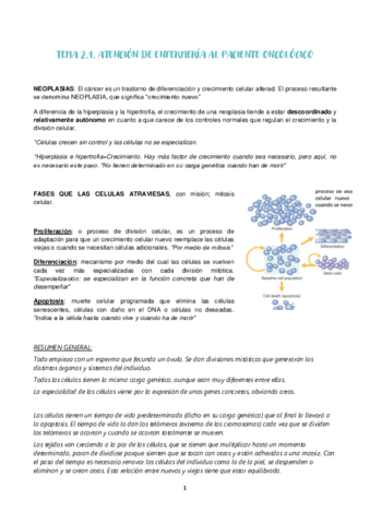 TEMA-2.pdf