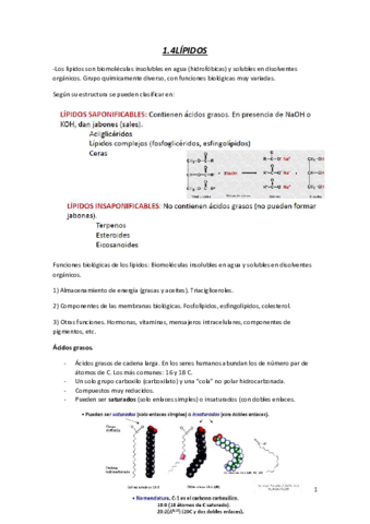 TEMA-1.pdf