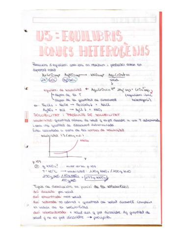 quimicabatxequilibrisionicsheterogenis.pdf