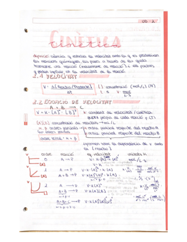 quimicabatxcinetica.pdf