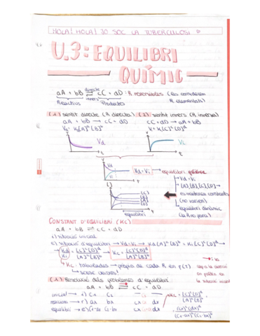 quimicabatxequilibriquimic.pdf