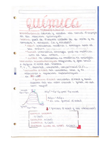 quimicabatxtermodinamicaambresum.pdf