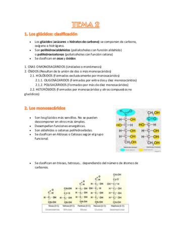 GLUCIDOS-Y-LIPIDOS-T2.pdf