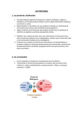 PROTEINAS-T3.pdf