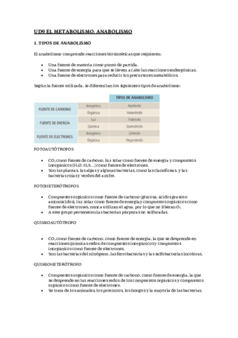 ANABOLISMO.pdf