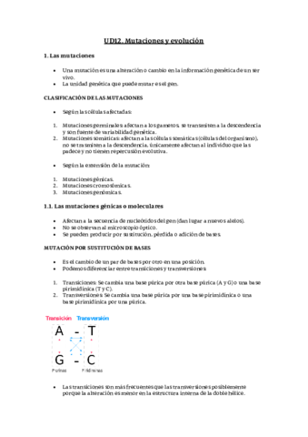 MUTACIONES-Y-EVOLUCION.pdf