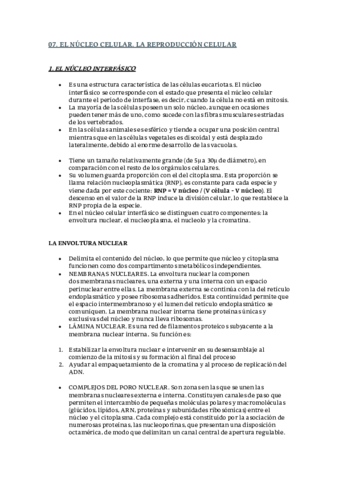 EL-NUCLEO-CELULAR.pdf